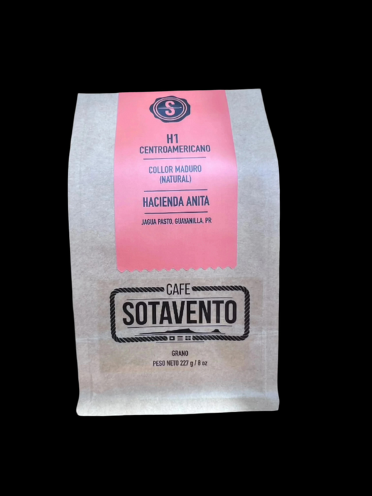 H1 Centroamericano- Natural (8oz)